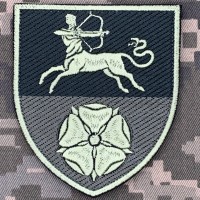 Нарукавний знак 456 ОПБ 141 ОПБр олива