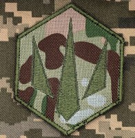 Шеврон Сил Безпілотних систем Camo