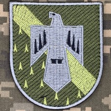 Нарукавний знак Харківський національний університет Повітряних Сил Олива
