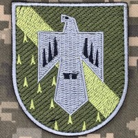 Нарукавний знак Харківський національний університет Повітряних Сил Олива