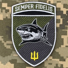 Нарукавний знак 1 батальйон 35 ОБрМП Польовий
