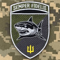 Нарукавний знак 1 батальйон 35 ОБрМП Польовий