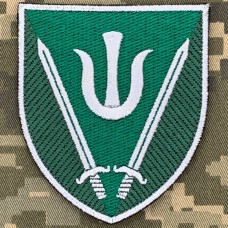 Нарукавний знак 160 ОМБР 