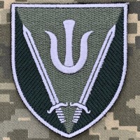 Нарукавний знак 160 ОМБР Польовий 