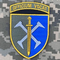 Нарукавний знак 162 ОМБР Officium Vocat