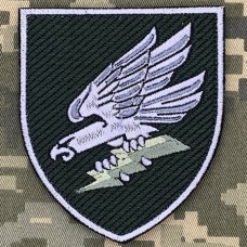 Нарукавний знак 299 бригада тактичної авіації олива