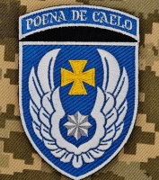 Нарукавний знак 831 бригада тактичної авіації Poena De Caelo