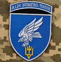 Нарукавний знак 15 бригада тактичної авіації