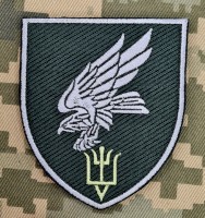 Нарукавний знак 15 бригада тактичної авіації Захисний варіант