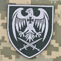 Нарукавний знак 39 бригада тактичної авіації