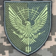 Нарукавний знак 310 окремий батальйон РЕБ МП ВМС ЗСУ олива