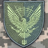 Нарукавний знак 310 окремий батальйон РЕБ МП ВМС ЗСУ олива