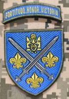 Нарукавний знак 155 ОМБР з дужкою