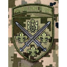 Нарукавний знак 155 ОМБР піксель
