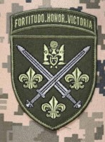 Нарукавний знак 155 ОМБР олива