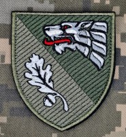 Нарукавний знак 144 Центр ССО олива 