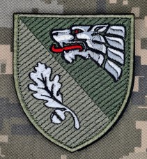 Купить Нарукавний знак 144 Центр ССО олива  в интернет-магазине Каптерка в Киеве и Украине
