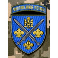 Нарукавний знак 155 ОМБР