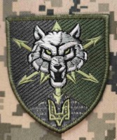 Нарукавний знак 111 окремий полк зв'язку ССО польовий 