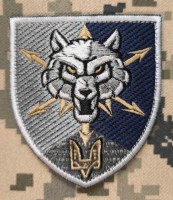 Нарукавний знак 111 окремий полк зв'язку ССО