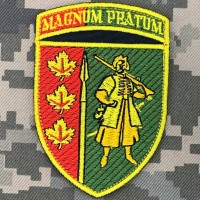 Нарукавний знак 65 ОМБр вар.2