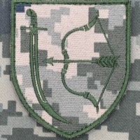 Нарукавний знак 1020 ОЗРП піксель