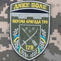 Нарукавний знак 128 ОБр ТРО Дике поле Польовий