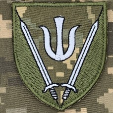 Нарукавний знак 160 ОМБР Піксель 