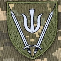 Нарукавний знак 160 ОМБР Піксель 