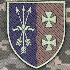 Нарукавний знак 169 ПРТБ польовий 