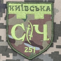 Нарукавний знак 251 батальйон 241 ОБрТРО Camo