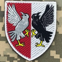 Нарукавний знак 30 центр обробки інформації МОУ