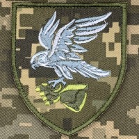  Нарукавний знак 421 ОББС ДШВ Піксель