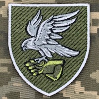  Нарукавний знак 421 ОББС ДШВ польовий 