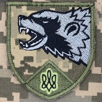 Нарукавний знак 2 механізований батальйон 67 ОМБр Піксель 