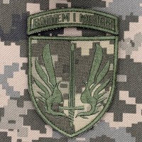 Нарукавний знак 67 ОМБр з дужкою Піксель