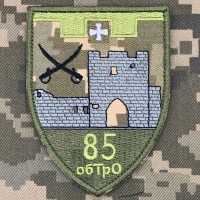 Нарукавний знак 85 окремий батальйон 105 ОБр сил ТРО Піксель 