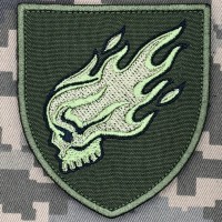 Нарукавний знак ББпС Кара 53 ОМБр Олива