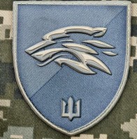 PVC шеврон 503 ОБМП Олива