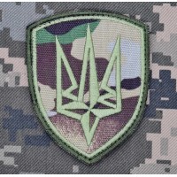 Шеврон 4 БрОП Рубіж camo