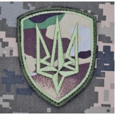 Шеврон 4 БрОП Рубіж camo