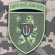 Нарукавний знак 11 Армійський корпус fortia scuta, gladii acuti польовий