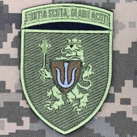 Нарукавний знак 11 Армійський корпус fortia scuta, gladii acuti польовий