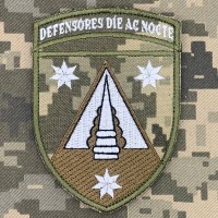 Нарукавний знак 138 ЗРБр Defensores die ac nocte піксель