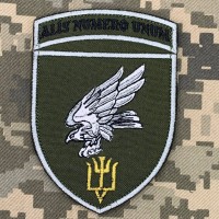 Нарукавний знак 15 бригада тактичної авіації олива