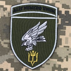 Нарукавний знак 15 бригада тактичної авіації олива
