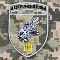 Нарукавний знак 15 бригада тактичної авіації піксель