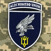 Нарукавний знак 15 бригада тактичної авіації синій