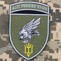 Нарукавний знак 15 бригада тактичної авіації польовий