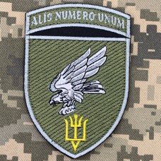 Нарукавний знак 15 бригада тактичної авіації польовий